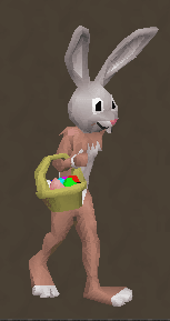 Easter Bunny Outfit